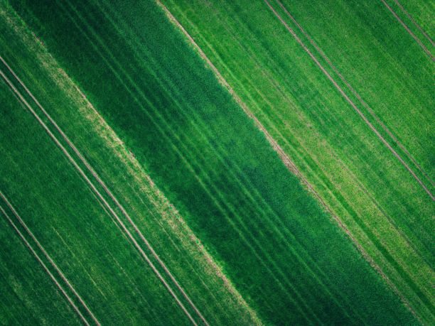 波兰乡村的生态土地，生态作物，来自无人机的绿色农田，鸟瞰绿色草地的影片照片，俯视绿色草坪，来自无人机的森林图片下载