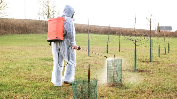 穿着防护服的园丁正在用背负式喷雾器给春季花园中的灌木和树木喷洒杀真菌剂。植物防治疾病、昆虫和害虫控制。高质量照片图片下载