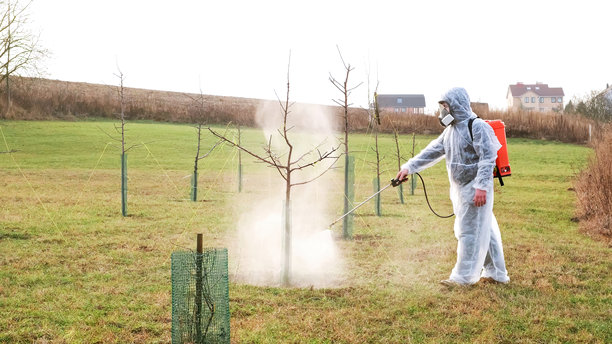 穿着防护服的园丁正在用背负式喷雾器在春季花园中喷洒灌木和树木的杀真菌剂。植物防治疾病、昆虫和害虫控制。高质量照片图片下载