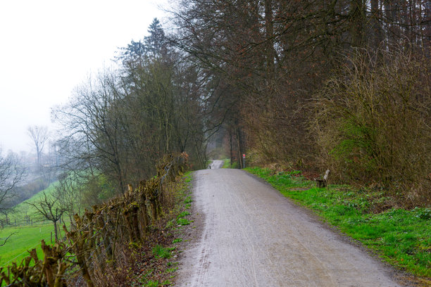 瑞士苏黎世乡村风景，湿滑的碎石路和森林，春雨绵绵的日子。照片拍摄于2025年3月29日，瑞士苏黎世。图片下载