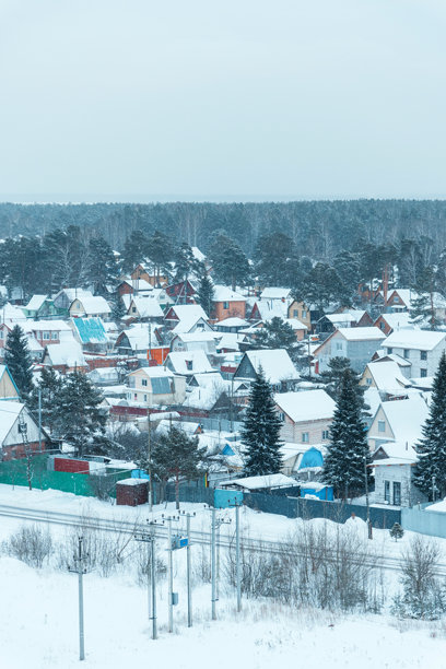 冬天笼罩着一个宁静的村庄，屋顶覆盖着白雪，街道安静，周围是一片寒冷的景色。竖版照片图片下载