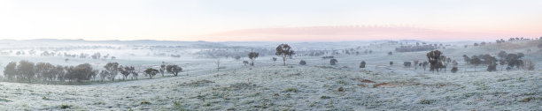 巨大的全景照片展示了第一缕曙光，乡村山谷被霜覆盖，柔和的雾气在清晨微光的色彩下弥漫。图片下载