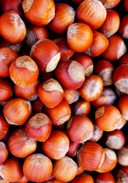 榛子特写。棕色坚果的背景特写。竖版照片。图片下载