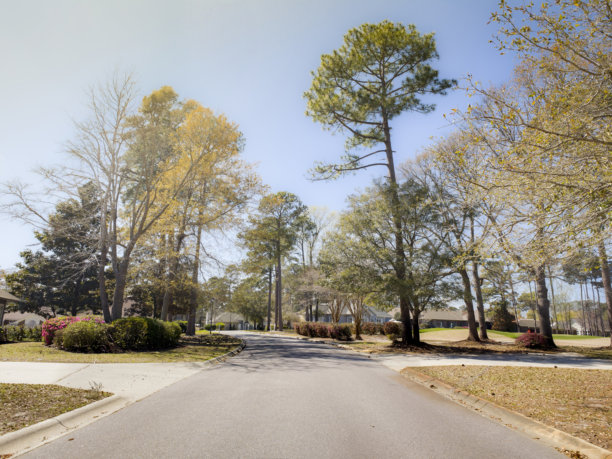 南卡罗来纳州小河的社区街道、湖泊和自然风光照片图片下载