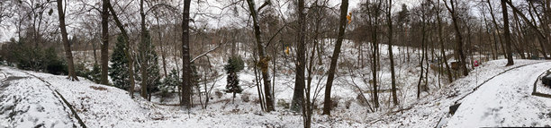一幅雪景全景图，可能是在冬季拍摄，画面中有树木。该图由几张拼接的照片组成，展示了一条被雪覆盖的道路穿过森林，略有错位。图片下载
