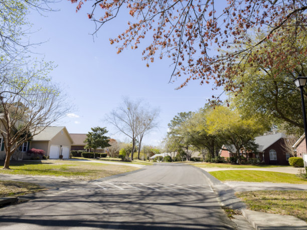 南卡罗来纳州小河的社区街道、湖泊和自然风光照片图片下载