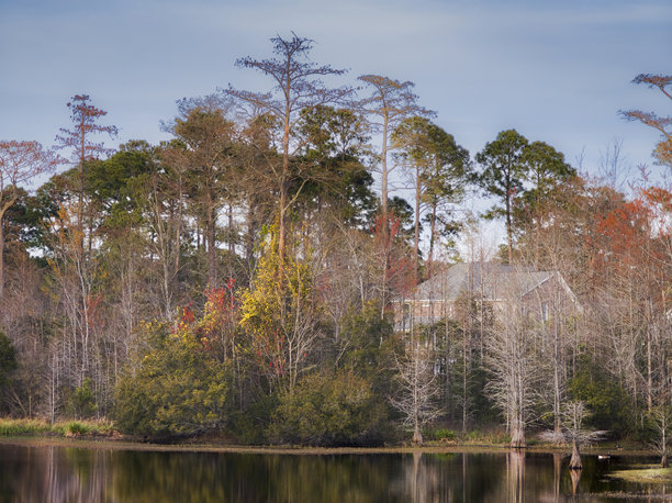 南卡罗来纳州小河的社区街道、湖泊和自然风光照片图片下载