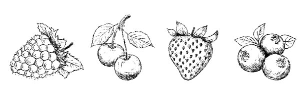 手绘蜡笔夏季浆果套装。手绘涂鸦甜点，野生浆果、樱桃、草莓、蓝莓、覆盆子。铅笔质感矢量插图。图片下载