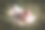 母女在美丽的田野中玩得开心。春夏摄影。快乐的童年，幸福与欢笑。母爱的关怀。照片的主题是母亲节和儿童节。图片下载