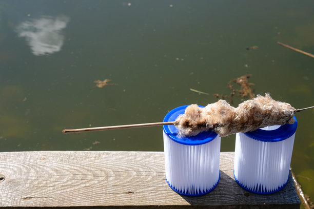 替换泳池过滤器滤芯。关于自然和人造系统中水质清洁的概念性照片。图片下载