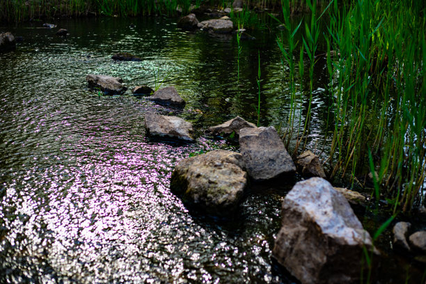 阳光照耀的河流风景库存照片图片下载