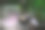 阳光照耀的河流风景库存照片图片下载