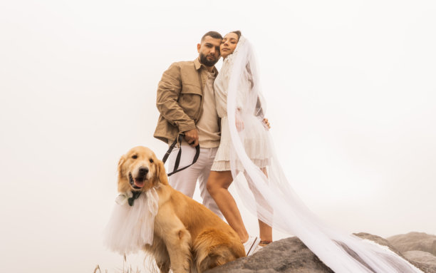 自然中情侣与金毛猎犬的浪漫订婚拍摄 - 库存照片图片下载