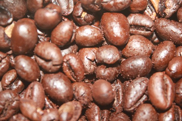 咖啡豆的特写照片图片下载