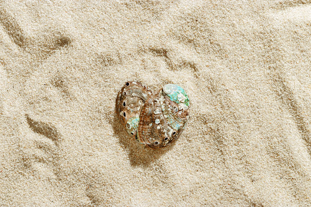 阳光下的浅米色沙滩上，彩色贝壳紧密排列成心形，营造出夏季海边的氛围，极简风格的美学照片，度假、放松、海洋、自然之爱概念。图片下载