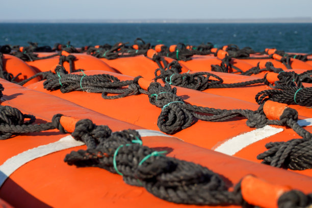 黑色绳索在橙色救生艇上的特写照片，背景是一艘远洋渡轮。图片下载