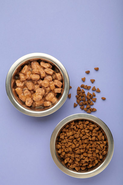 银色碗中盛放着狗和猫的湿粮和干粮，背景为紫色。竖版照片。图片下载