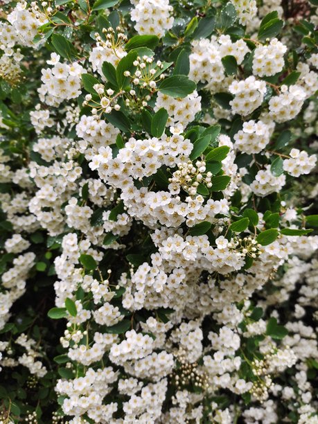 雨天自然风景图片图片下载