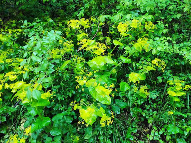 雨天自然风景图片图片下载