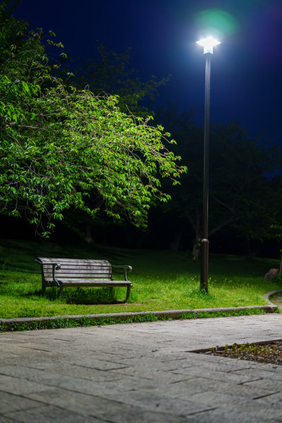 夜晚街灯照亮的木长椅和宁静草坪 - 具有良好利润空间的广告素材图片下载