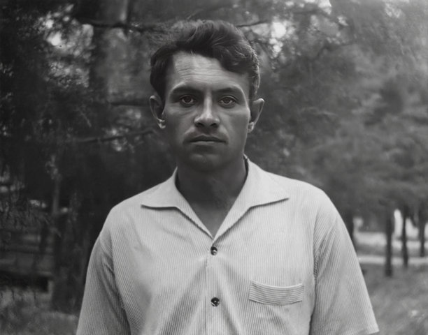 1959年的复古照片，背景是一片森林，年轻帅气的男子肖像。图片下载