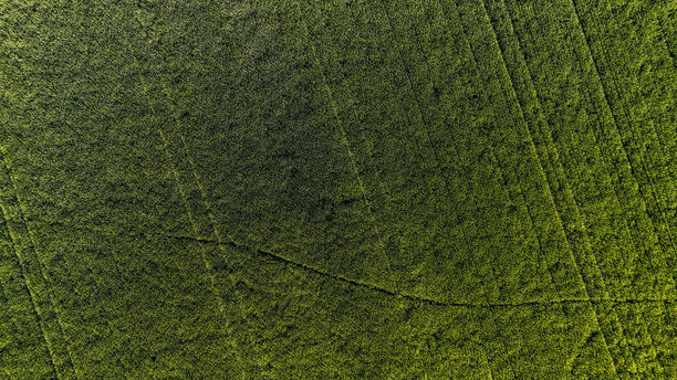波兰乡村的生态土地，生态作物，来自无人机的绿色农田，鸟瞰绿色草地的电影照片，从上方俯瞰的绿色草坪，来自无人机的森林图片下载