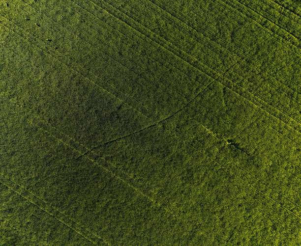 波兰乡村的生态土地，生态作物，来自无人机的绿色农田，鸟瞰绿色草地的电影照片，俯视绿色草坪，来自无人机的森林图片下载