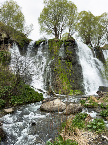 森林或丛林中的自然瀑布，郁郁葱葱的绿色，竖版照片图片下载