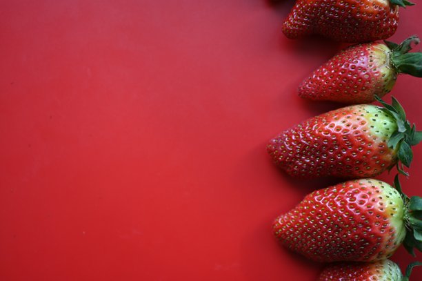 红色多汁的草莓在红色背景上，夏季草莓照片背景图片下载