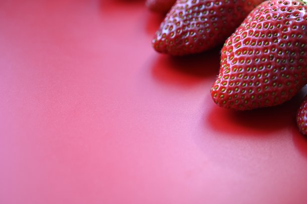 红色多汁的草莓在红色背景上，夏季草莓照片背景图片下载