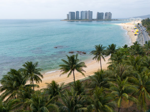 海南万宁日月湾的椰子树林、珊瑚礁和海洋的航拍照片图片下载