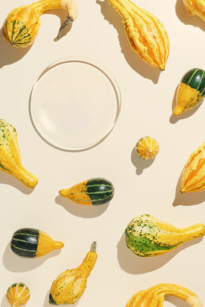 不同形状和颜色的南瓜、葫芦、 squash 和 patissons 的俯视图图案，阳光投下的阴影。秋季平铺构图，包含装饰性南瓜，极简风格，概览照片。图片下载