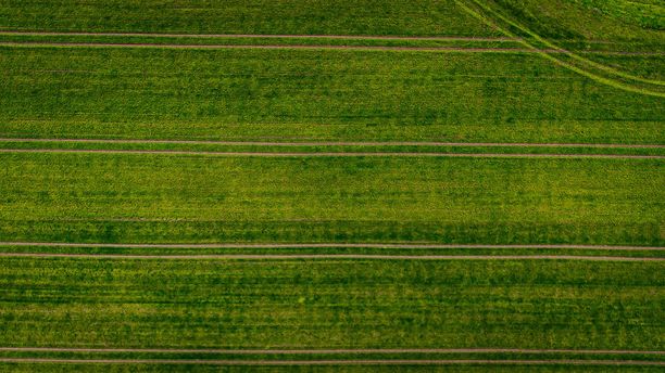 波兰乡村的生态土地，生态作物，来自无人机的绿色农田，鸟瞰绿色草地的电影照片，俯视绿色草坪，来自无人机的森林图片下载