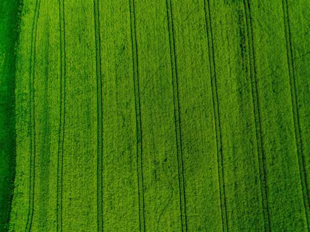 无人机拍摄的绿色农田，鸟瞰视角的绿色草地，绿色草地照片，俯视的绿色草坪，鸟瞰视角的绿色草坪图片下载