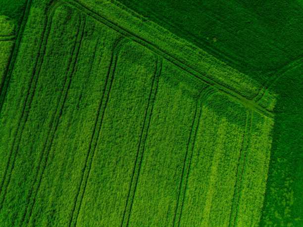 无人机拍摄的绿色农田，鸟瞰视角的绿色草地，绿色草地照片，从上方俯瞰的绿色草坪，鸟瞰视角的绿色草坪图片下载