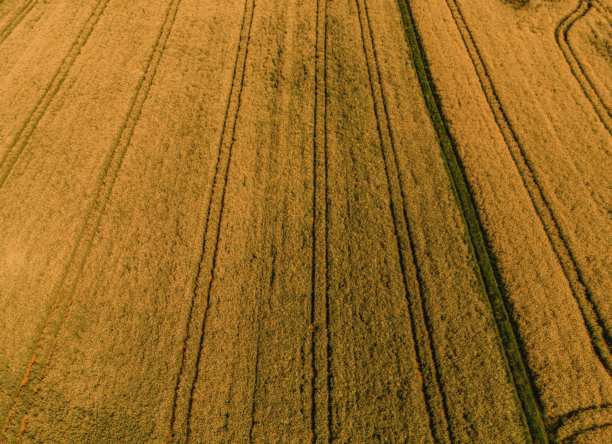 无人机拍摄的绿色农田，鸟瞰视角的绿色草地，绿色草地照片，从上方俯瞰的绿色草坪，鸟瞰视角的绿色草坪图片下载