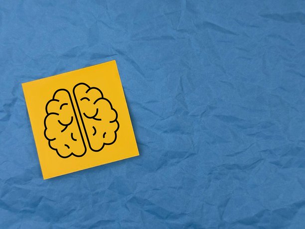 大脑。人类智力。办公室贴纸上的大脑图标。人脑康复的横幅。照片。图标。人类器官。图片下载