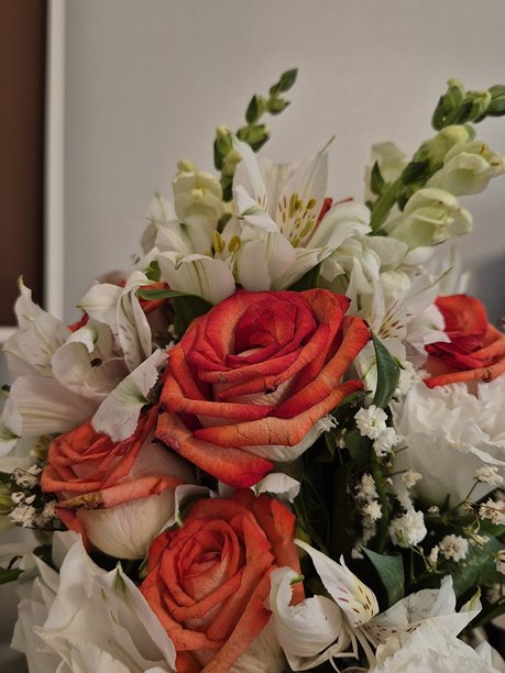 一束玫瑰花的照片图片下载