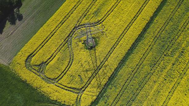 油菜花田，来自无人机的黄色油菜，油菜田，生态土地上的波兰村庄绿色照片，来自无人机的绿色农田，鸟瞰的绿色草地，绿色草地图片下载