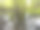 春天的一天，安静的森林沼泽区的照片记录图片下载