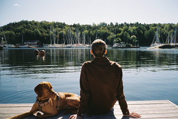 男人和狗坐在码头上俯瞰游艇码头 — 电影照片图片下载