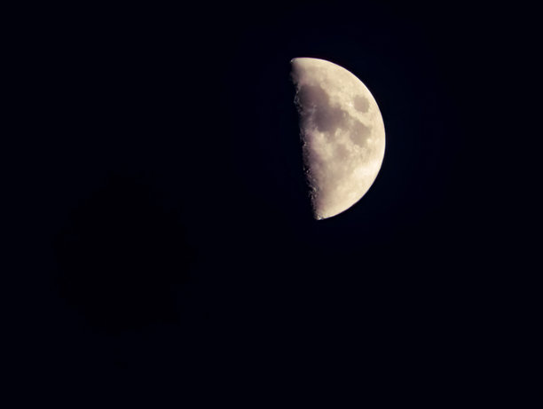 夜空中的半月。详细的月球表面，天文学和太空探索主题，黑暗中的天体，宁静的外太空场景，完美适合科学和自然概念。库存照片图片下载