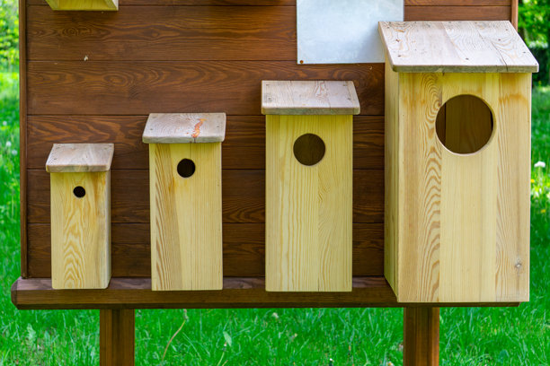 一组不同大小的木制鸟屋特写，背景是一块木板。照片拍摄于阳光明媚的户外，非常适合展示与自然、环境保护、手工艺和园艺建筑相关的主题。图片下载