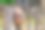 传统陶土壶放置在乡村环境中的木栅栏上。照片展示了乡村风景和手工艺的元素，适合用于阐述与传统和民俗文化相关的话题。图片下载