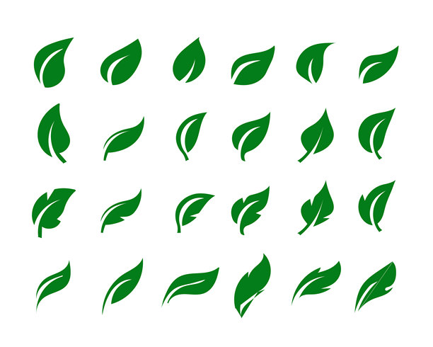 绿色叶子图标 自然、生态、植物、符号、设计、集合、套件、矢量、图形、图片图片下载