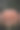 选择性聚焦，家庭花园中的桃色玫瑰特写照片图片下载