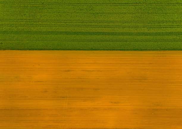 油菜花田，黄色油菜从无人机拍摄，油菜田，绿色欧洲，波兰村庄的生态土地照片，从无人机拍摄的绿色农田，鸟瞰的绿色草地，绿色草地图片下载