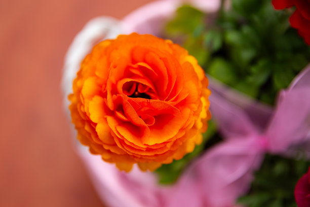 美丽的橙色花朵在粉色篮子里，花朵特写，亚洲黄花，漂亮的花卉照片图片下载