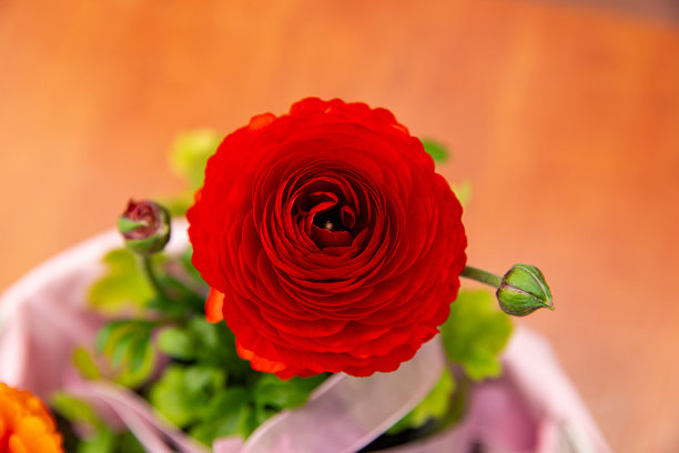 美丽的红花在粉色篮子里，花朵特写，亚洲黄花，漂亮的花卉照片图片下载