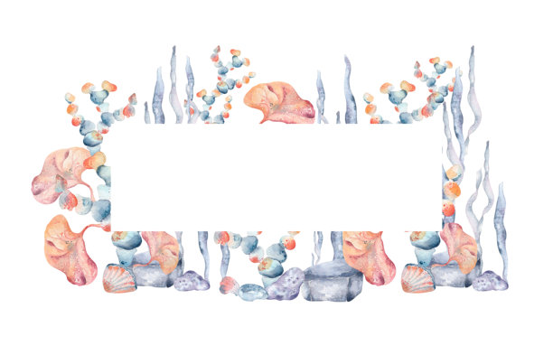 手绘水彩海洋框架，包含五彩斑斓的珊瑚叶、海藻和海带，背景透明。明亮的热带海底横向边框，橙色和蓝色搭配，适用于航海邀请函和热带活动。图片下载